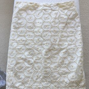 Ann Taylor Pencil Skirt